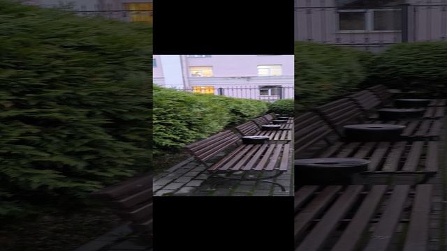 отель 365 СПб