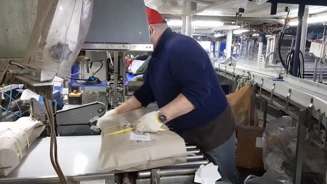 20220202 182532 смотреть онлайн