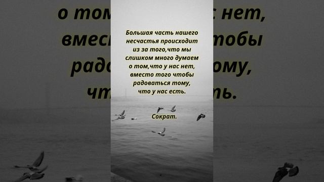 Невероятно Мудро! Избранные Цитаты о Мудрости Жизни Великих Людей Со Смыслом.Афоризмы смотреть онлайн