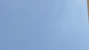 Воронка из ночного дозора