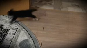 Яша маленький