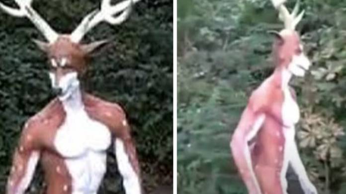 Фермер застрелил квадробера оленя