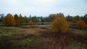 Осень в России | Осень с высоты птичьего полета