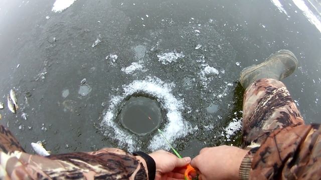 Открыли сезон,жерлицы,безмотылка,балансиры и блесна!!!Злой и жадный рыб утащил удочку в лунку!!!! смотреть онлайн