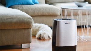 Как увлажнить воздух в комнате