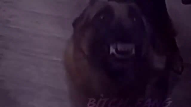 стрелка стала намного сильнее😎 смотреть онлайн