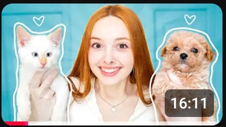 КОШКА или СОБАКА? (Мы завели животных) смотреть онлайн