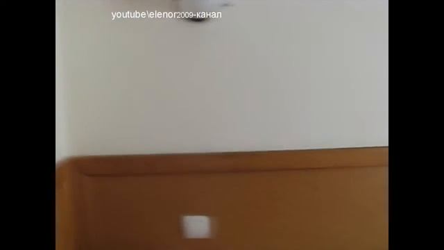 Отель Золотая пальма в Хосте Сочи, наш номер. Хоста Сочи номер в отеле Золотая пальма смотреть онлайн