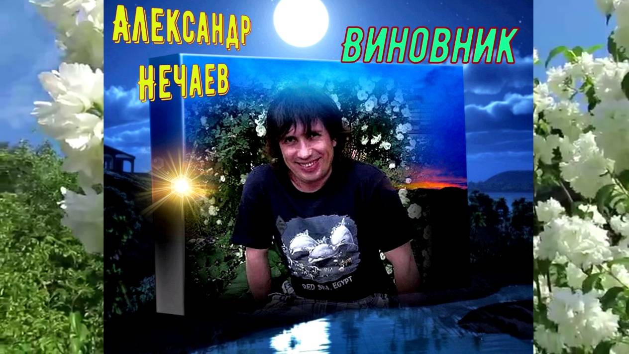 Александр Нечаев / Валерий Леонтьев Виновник смотреть онлайн