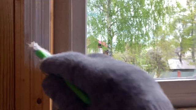 Отбеливаем старые стены покрытые лаком без снятия старого покрытия. Масло от W-House® смотреть онлайн