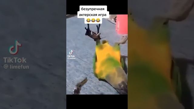 чо с ней? смотреть онлайн