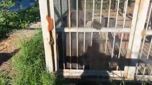 Тоня смотреть онлайн