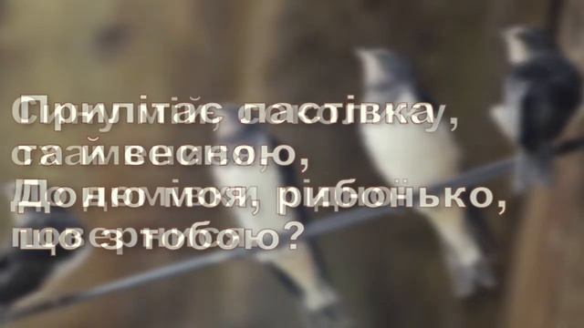 Володимир Козак Ластівка смотреть онлайн