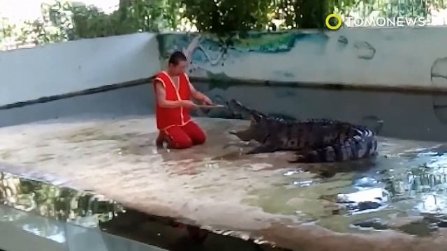 Crocodile Attack Human : Top 7 Crocodile Bite Human Caught On Camera | Alligator Attack смотреть онлайн