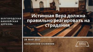Иакова 11: Истинная вера правильно реагирует на страдания (Иак. 5: 7-11) || Павел Бочкарев