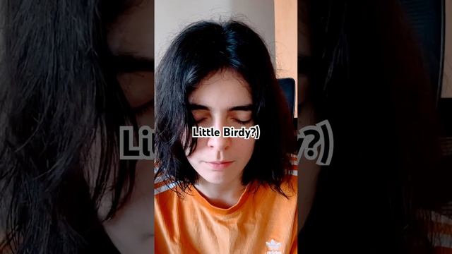 Little Birdy Six Months In A Leaky Boat PURE VOICE (not Even Acapella)
