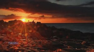 Стив Морган - Дыхание земли