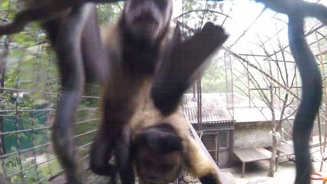 На их месте могли быть мы смотреть онлайн