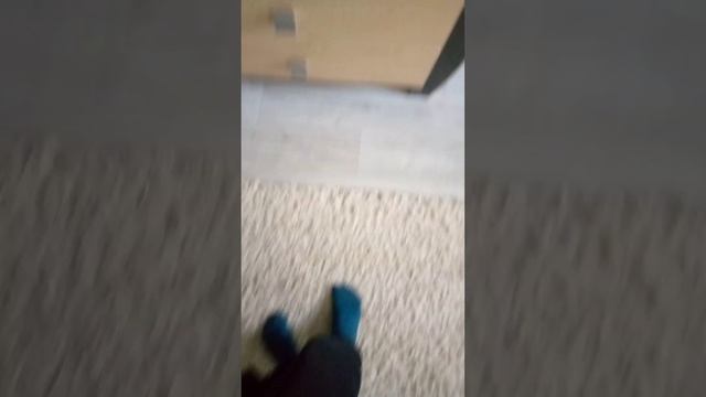 stalker крафт в реальной жизни смотреть онлайн