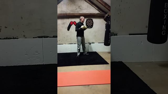 Fighting Tipps by Maestrodovic-Direkte Faust ( Wing Tsun Style ) смотреть онлайн