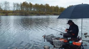 Соблазняем лещей на поклёвки! Рыбалка на леща в мае и июне. Рыбалка 2020 на фидер