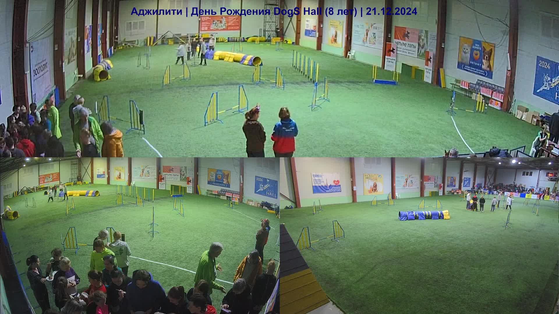 Аджилити | День Рождения Dogs Hall (8 лет) часть 8 из 9| 21.12.2024