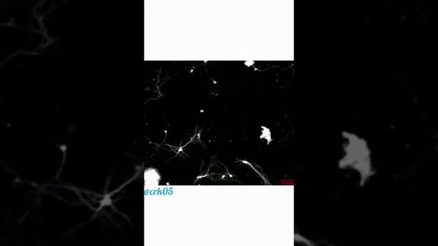 СВЕТЛЫЙ МЕСЯЦ РАМАДАН МЕДИЦИНСКИЙ ВЗГЛЯД 📽️ смотреть онлайн