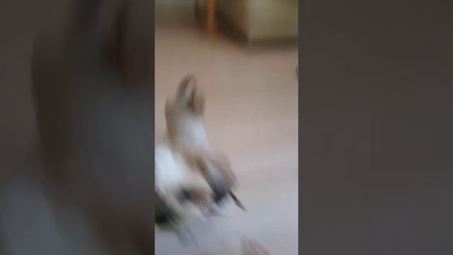 2 июля 2022 г. смотреть онлайн