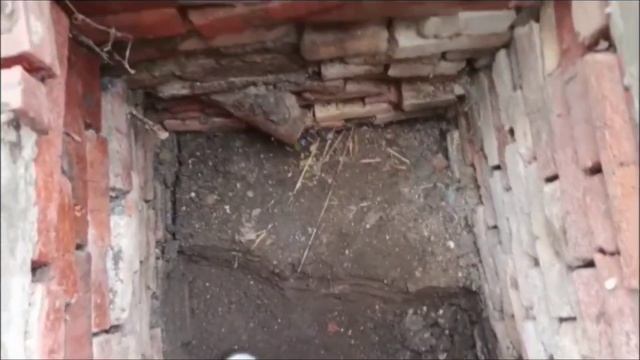 Ейск ! Немного о здоровье, отпуск закончился, работы в доме закипели и многое другое ! смотреть онлайн