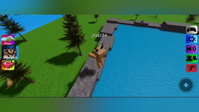 How To Get Cham Turtle Floppa In Find The Floppa Morphs | Cham Turtle Floppa