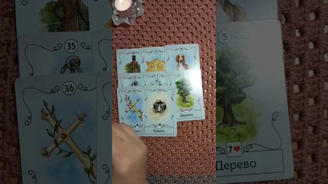 Мантия Волшебства