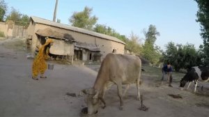 Бонуи хаматарафа бо иштироки Рухшона Каримова