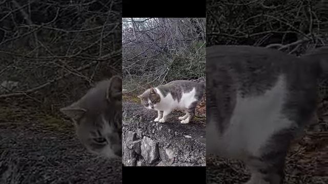 Солнечная тропа. 30.01.22. смотреть онлайн