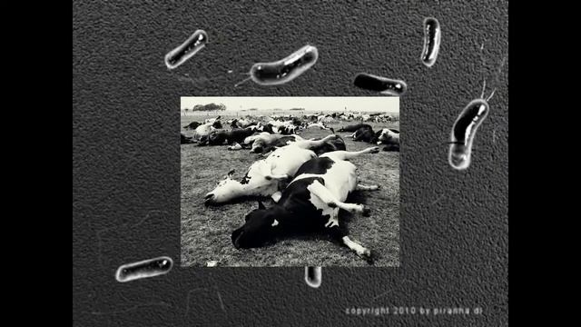 Antrax смотреть онлайн