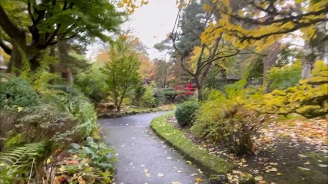 Японський сад у Таллі, Кілдер, Iрландія смотреть онлайн