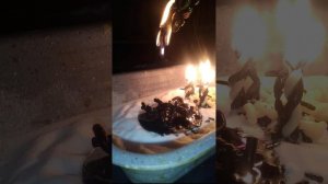 От Ночных Атак огненный Щит. Зеркальный отвод. Темная поддержка