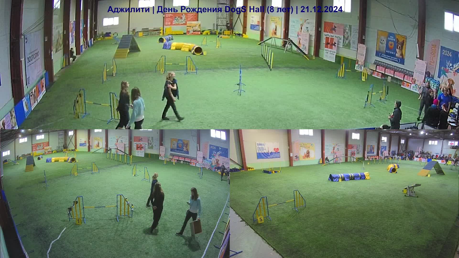 Аджилити | День Рождения Dogs Hall (8 лет) часть 3 из 9| 21.12.2024