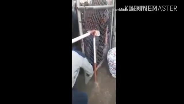 До и после Таджикистан против Китая смотреть онлайн