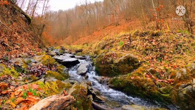NEON FOREST in 8K - (Ultra Hd) || Enjoy The Trip смотреть онлайн