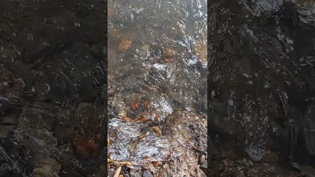 Байкальский игольчатый лед, шум льда и всплески воды #nature #байкал #лето2024 #отдыхвсочи #экологи