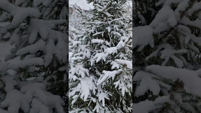 Зима идёт ❄️❄️ смотреть онлайн