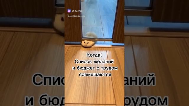 Перед новым годом смотреть онлайн