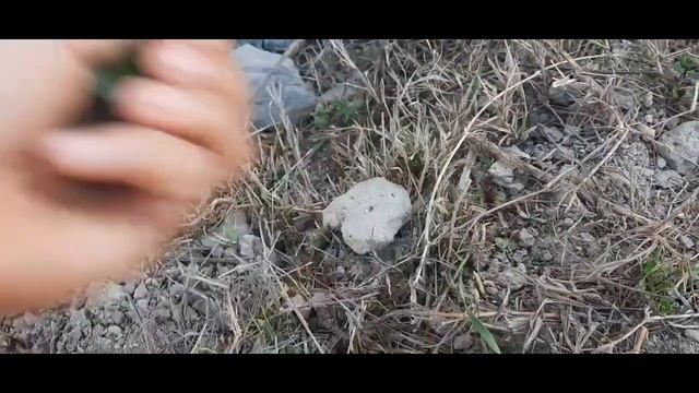 ( Vlog ) нозанин пудина чини рафт шакароби оби смотреть онлайн