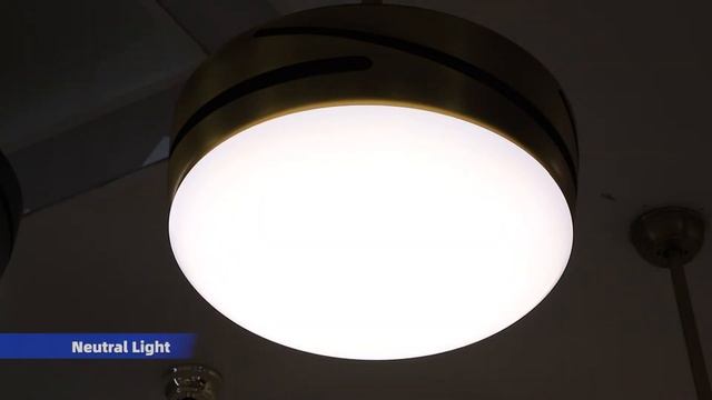 42'' Full Retractable Ceiling Fan Light with Remote Control, DC motor. смотреть онлайн