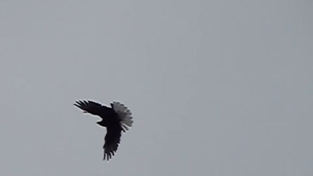 полёт Нг 26 09 2014г 3замедленно смотреть онлайн