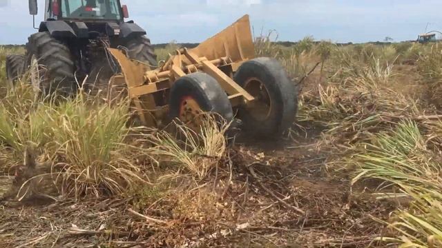 Limpeza da linha de resíduos florestais com Estrovenga / Limpa Trilho. смотреть онлайн