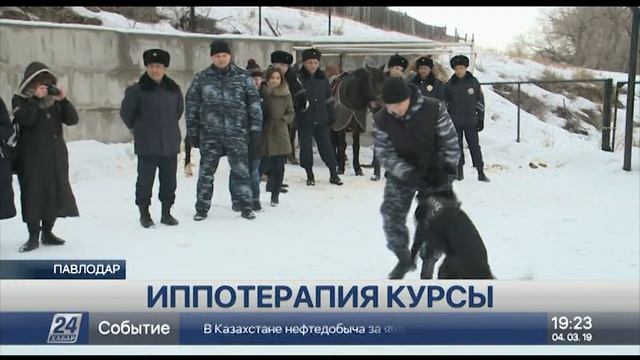Павлодарда дертке шалдыққан балаларға иппотерапия курсы ұйымдастырылды смотреть онлайн