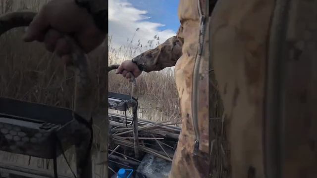 лодка болотоход 4816 смотреть онлайн