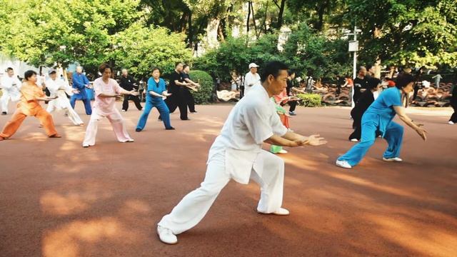 18 Forms Chen Shi #TaiJiQuan #陈氏 #太极拳 -18式 - Чень ши #Тайцзицюань Shifu In White