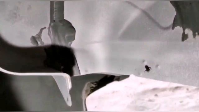 Антикор Toyota Auris